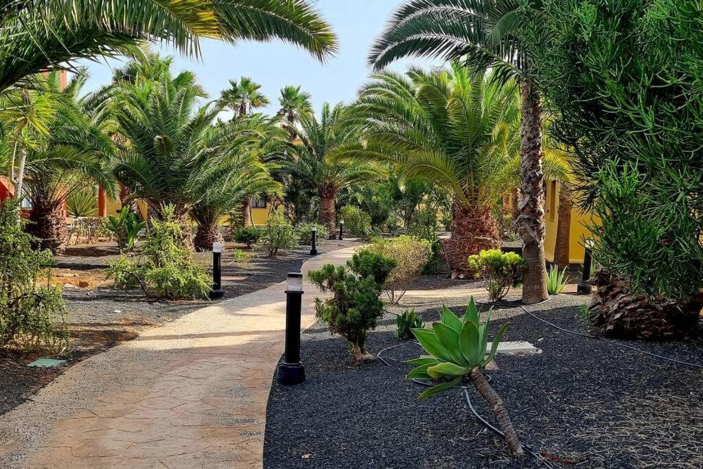 Frangipani Con Terrazza E Piscina Appartement Corralejo